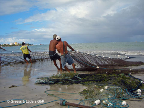 10_1514 Maceio